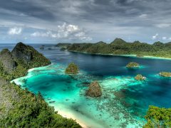 Papua Barat Daya
